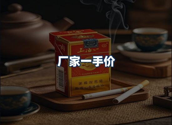 专业团队办公环境